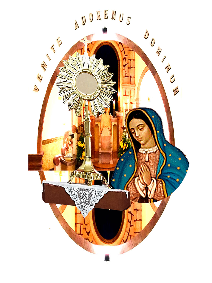 Carisma y Espiritualidad APG